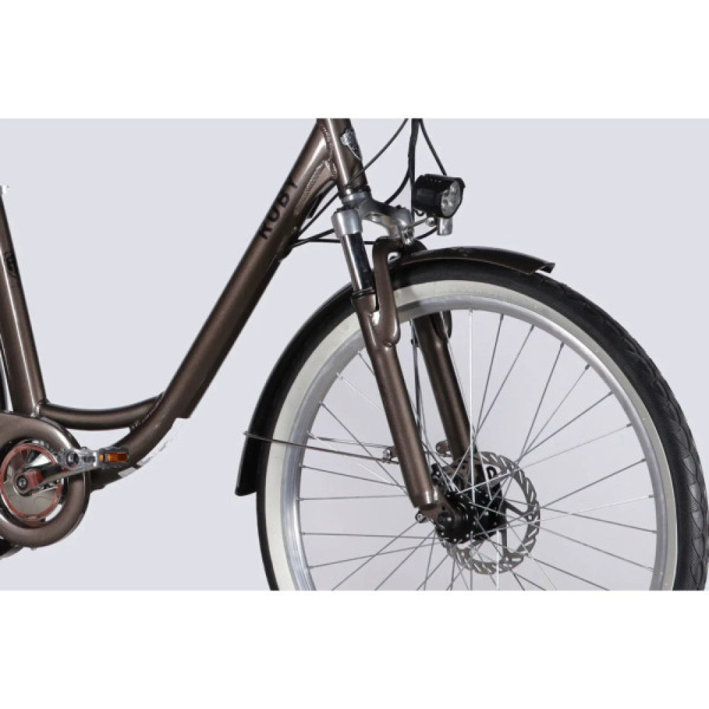 Електровелосипед Dorozhnik 26" eRUBY DD FR рама-17" 48B 15А*г 500Вт 2026 мокрий асфальт (ELB-D-26-303)