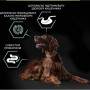 Сухий корм для собак Purina Pro Plan Large Athletic Adult 2+ Sensitive Digestion Для великих порід атлетичної статури З ягням 14 кг (7613035415591) Сухий корм для собак Purina Pro Plan Large Athletic Adult 2+ Sensitive Digestion Для великих порід атлетичної статури З ягням 14 кг (7613035415591)
