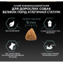 Сухий корм для собак Purina Pro Plan Large Athletic Adult 2+ Sensitive Digestion Для великих порід атлетичної статури З ягням 14 кг (7613035415591) Сухий корм для собак Purina Pro Plan Large Athletic Adult 2+ Sensitive Digestion Для великих порід атлетичної статури З ягням 14 кг (7613035415591)