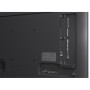 Телевізор LG 43QNED80A6A