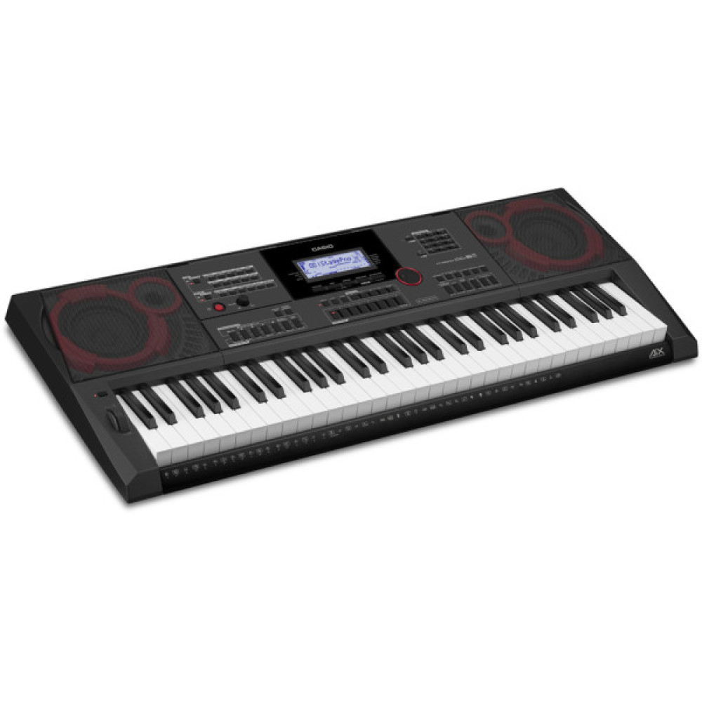 Синтезатор Casio CT-X5000 (222026)