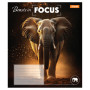 Зошит 1 вересня Beasts in Focus А5 24 аркушів клітинка (768056) Зошит 1 вересня Beasts in Focus А5 24 аркушів клітинка (768056)