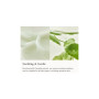 Сироватка для обличчя Beauty Of Joseon Light On Serum Centella + Vita C 30 мл (8809875906477) Сироватка для обличчя Beauty Of Joseon Light On Serum Centella + Vita C 30 мл (8809875906477)