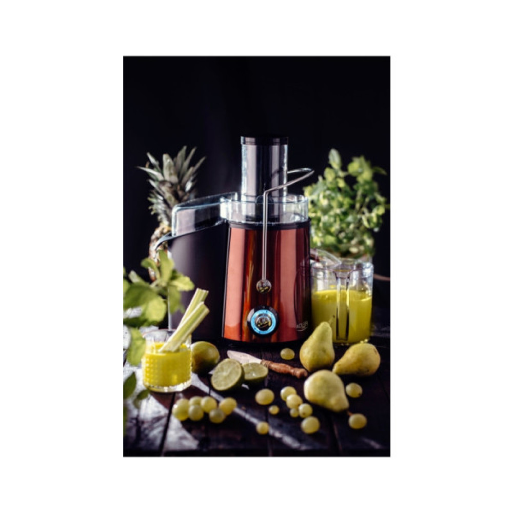 Соковижималка Adler AD 4129