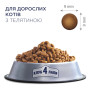 Сухий корм для кішок Club 4 Paws Преміум. З телятиною 300 г (4820083909184) Сухий корм для кішок Club 4 Paws Преміум. З телятиною 300 г (4820083909184)