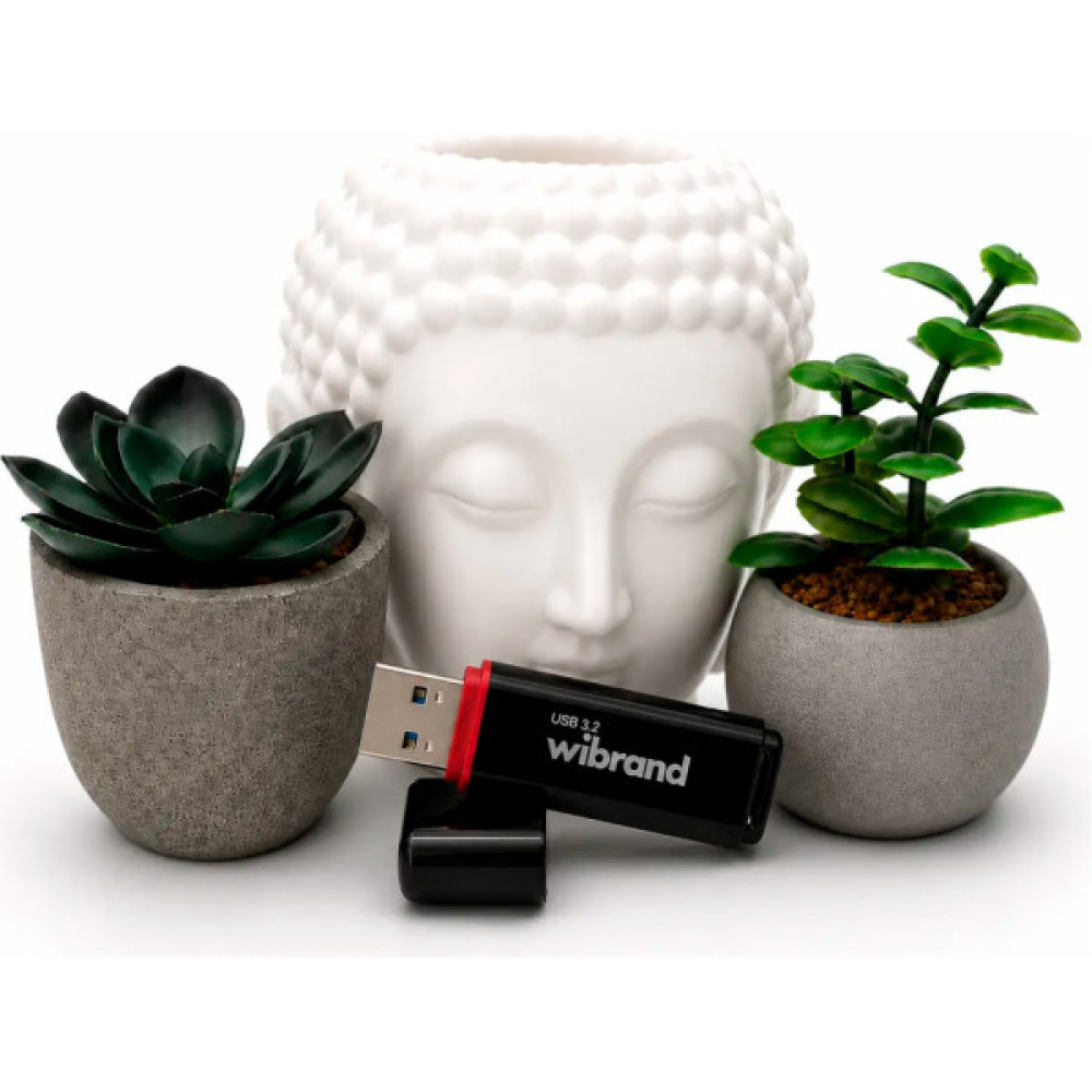 USB флеш накопичувач Wibrand 64GB Scarab Black USB 3.2 (WI3.2/SC64P11B)
