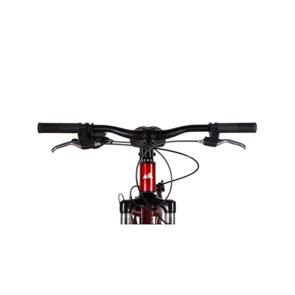 Велосипед Discovery 24" FLINT DD рама-12" ST 2025 червоний (OPS-DIS-24-362)