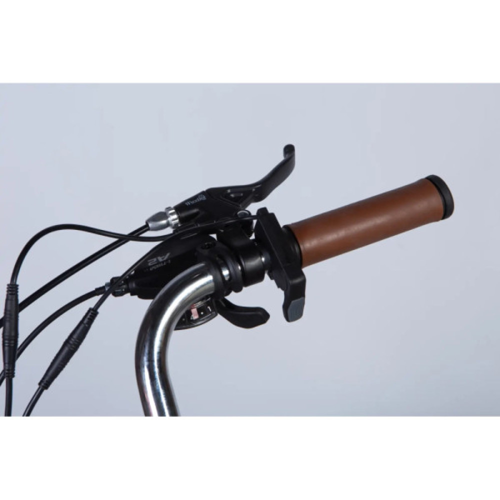 Електровелосипед Dorozhnik 28" eCORAL DD FR рама-19" 48B 13А*г 500Вт 2026 бронзовий (ELB-D-28-115)