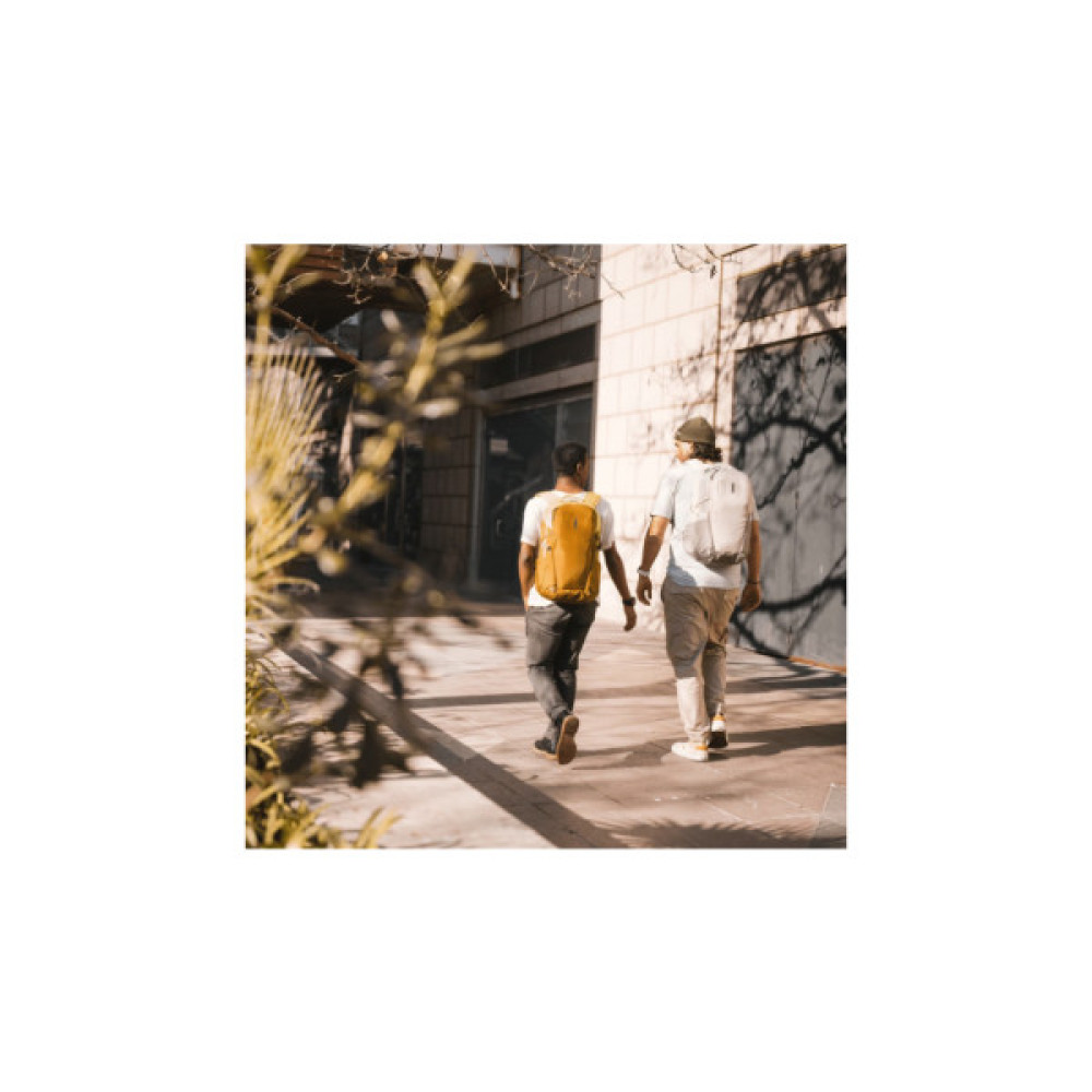 Рюкзак для ноутбука Thule 15.6" EnRoute 23L TEBP4216 Pond/Dark Slate (3204947)