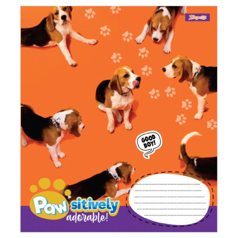 Зошит 1 вересня Pawsitively А5 24 аркушів клітинка (768240)