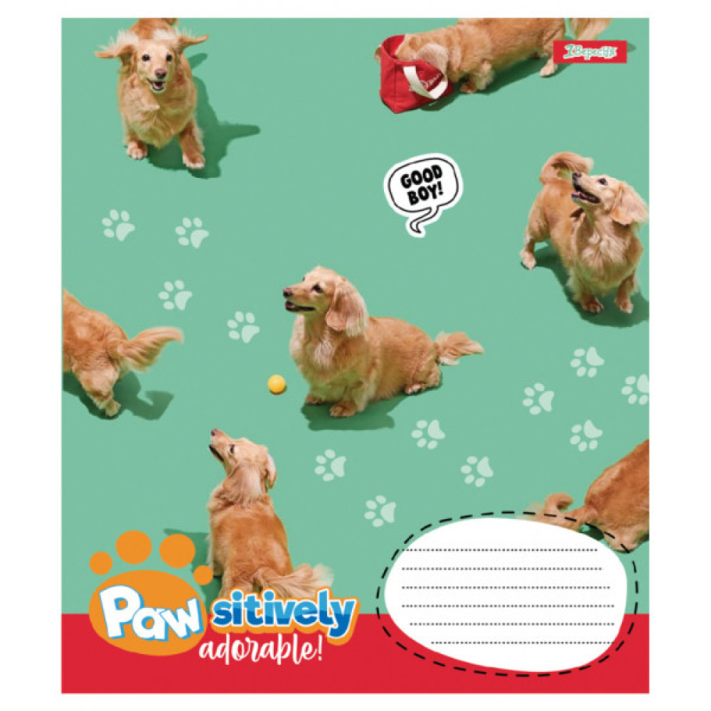 Зошит 1 вересня Pawsitively А5 24 аркушів клітинка (768240)