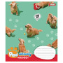 Зошит 1 вересня Pawsitively А5 24 аркушів клітинка (768240)