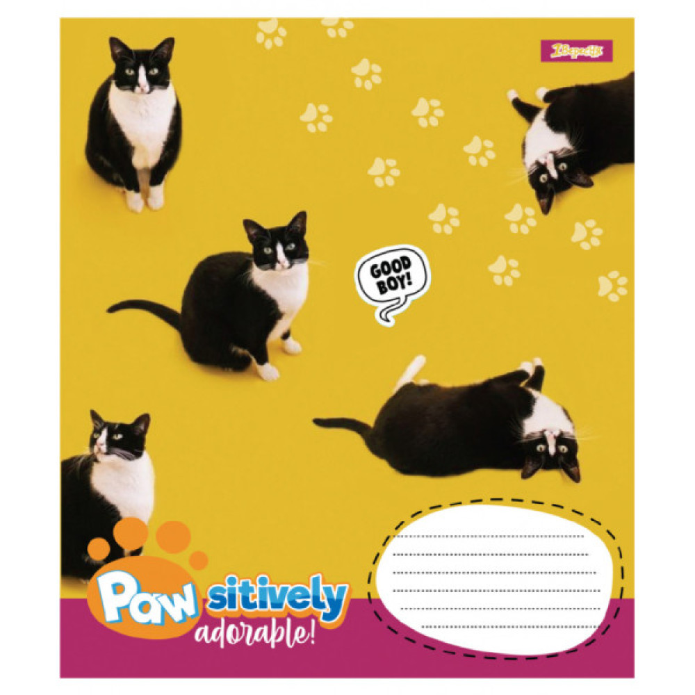 Зошит 1 вересня Pawsitively А5 24 аркушів клітинка (768240)