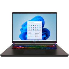 Ноутбук MSI Vector 17 HX AI A2XWIG-043UA 17" QHD+, Intel U9-275HX, 32GB, F1TB, NVD5080-16, W11, чорний