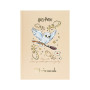 Щоденник шкільний Kite Harry Potter, тверда обкладинка (HP25-262-1)