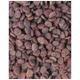 Сухий корм для кішок Carnilove True Fresh Cat Turkey з індичкою 4.8 кг (8595602561469) Сухий корм для кішок Carnilove True Fresh Cat Turkey з індичкою 4.8 кг (8595602561469)