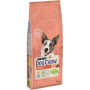 Сухий корм для собак Purina Dog Chow Active Adult зі смаком курки 14 кг (7613034487933) Сухий корм для собак Purina Dog Chow Active Adult зі смаком курки 14 кг (7613034487933)