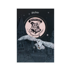 Блокнот Kite Harry Potter A5, 50 аркушів, клітинка (HP25-194-1)