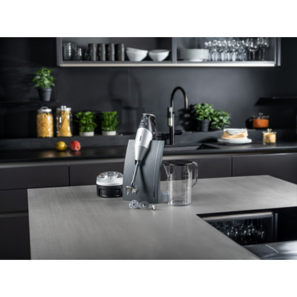 Блендер Bamix SwissLine М200 Silvery (1000.025)