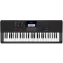 Синтезатор Casio CT-X700 (222059) Синтезатор Casio CT-X700 (222059)