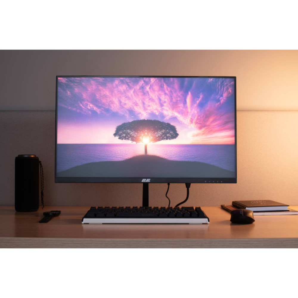 Монітор 2E 23.8" D2425B D-Sub, HDMI, MM, IPS, 100Hz, FreeSync