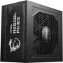 MSI MAG A850GL PCIE5