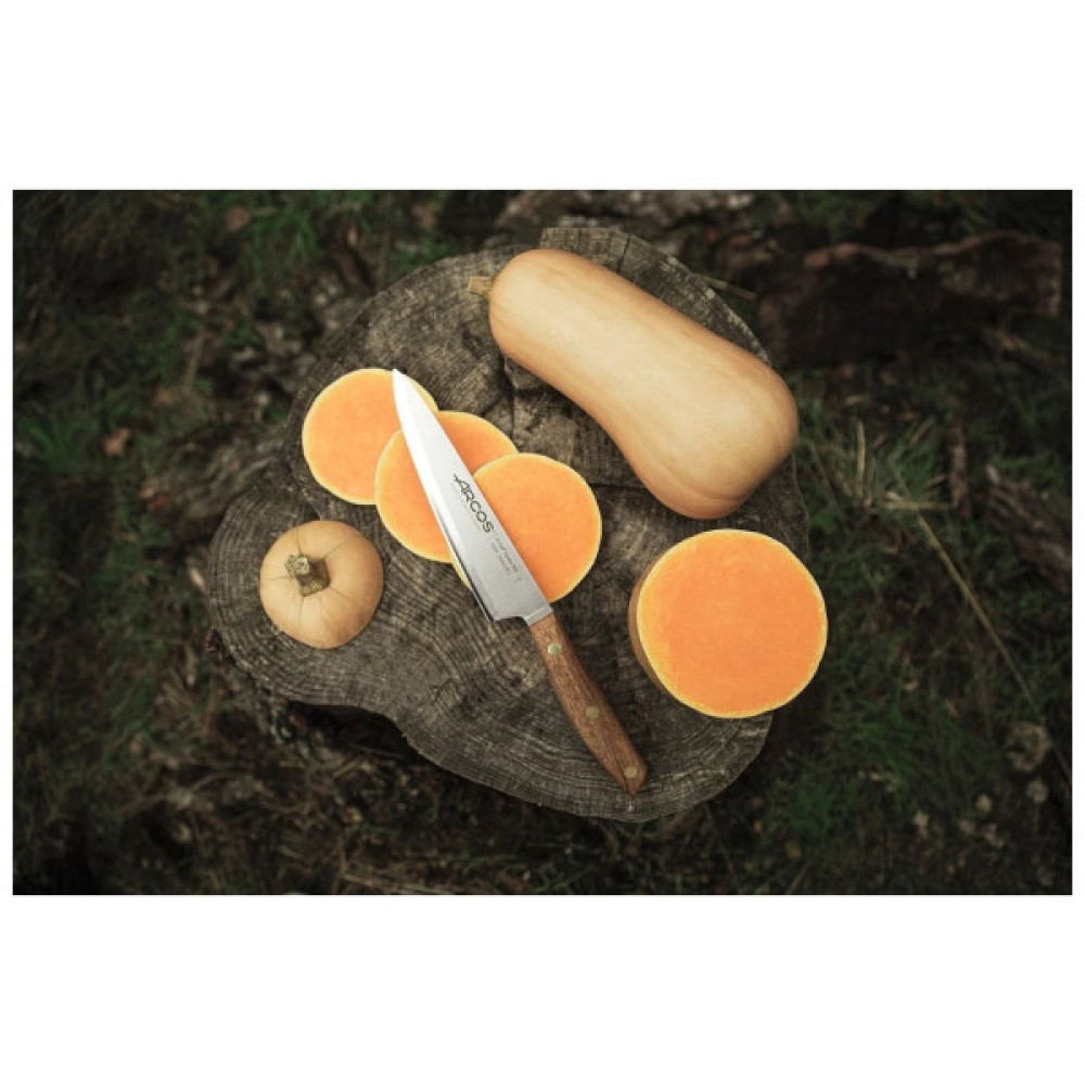 Кухонний ніж Arcos Nordika 160 мм (165900)