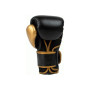 Боксерські рукавички Everlast Powerlock 2R Training Glove P00002665 чорний, золотий 16 унцій (009283611996)