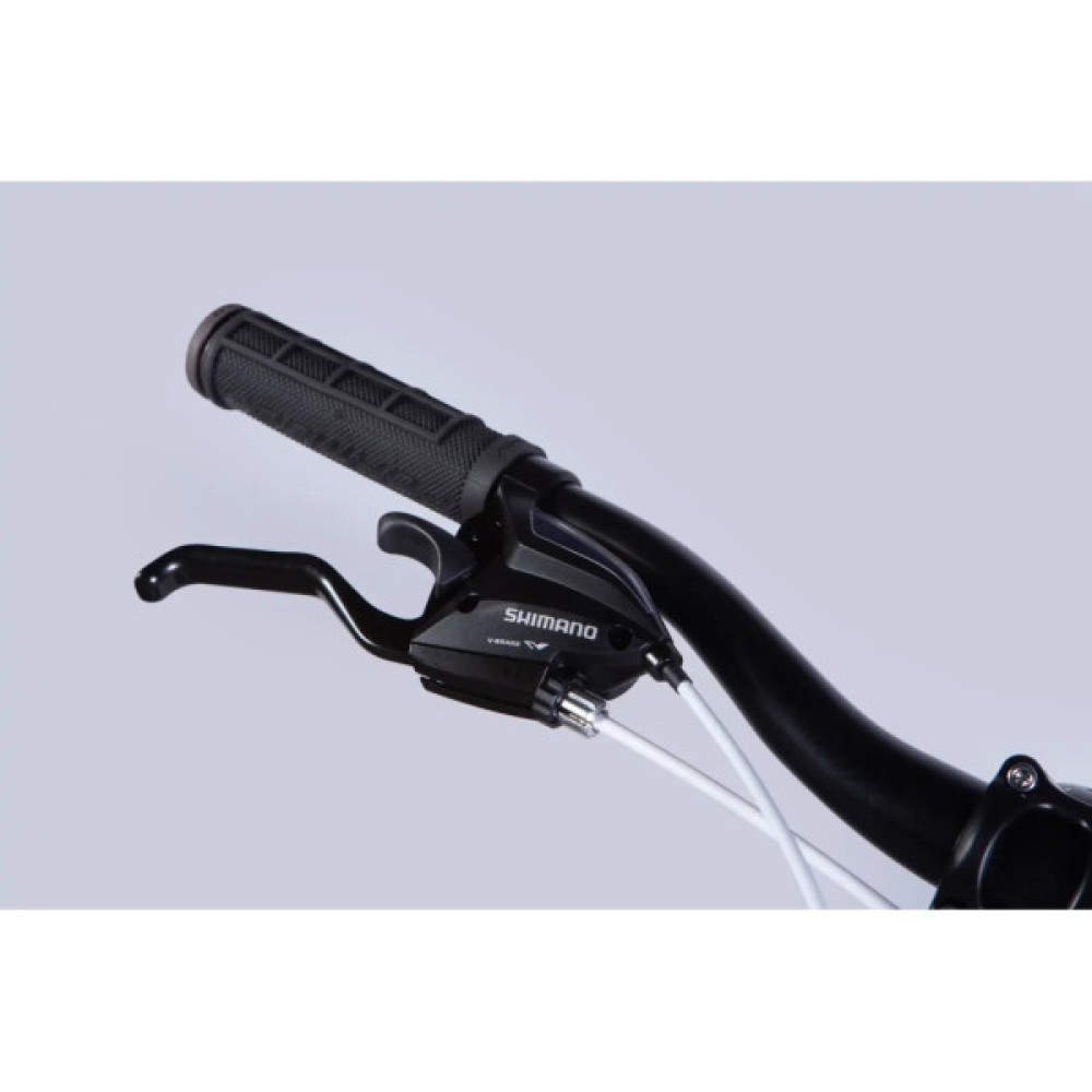 Велосипед Formula 24" BLACKWOOD DD FR рама-12,5" AL 2026 біло-рожевий (OPS-FR-24-444)