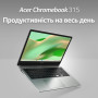 Ноутбук Acer Chromebook CB315-4HT 15" FHD IPS Touch, Intel C N4500, 8GB, F128GB, UMA, ChromeOS, сріблястий