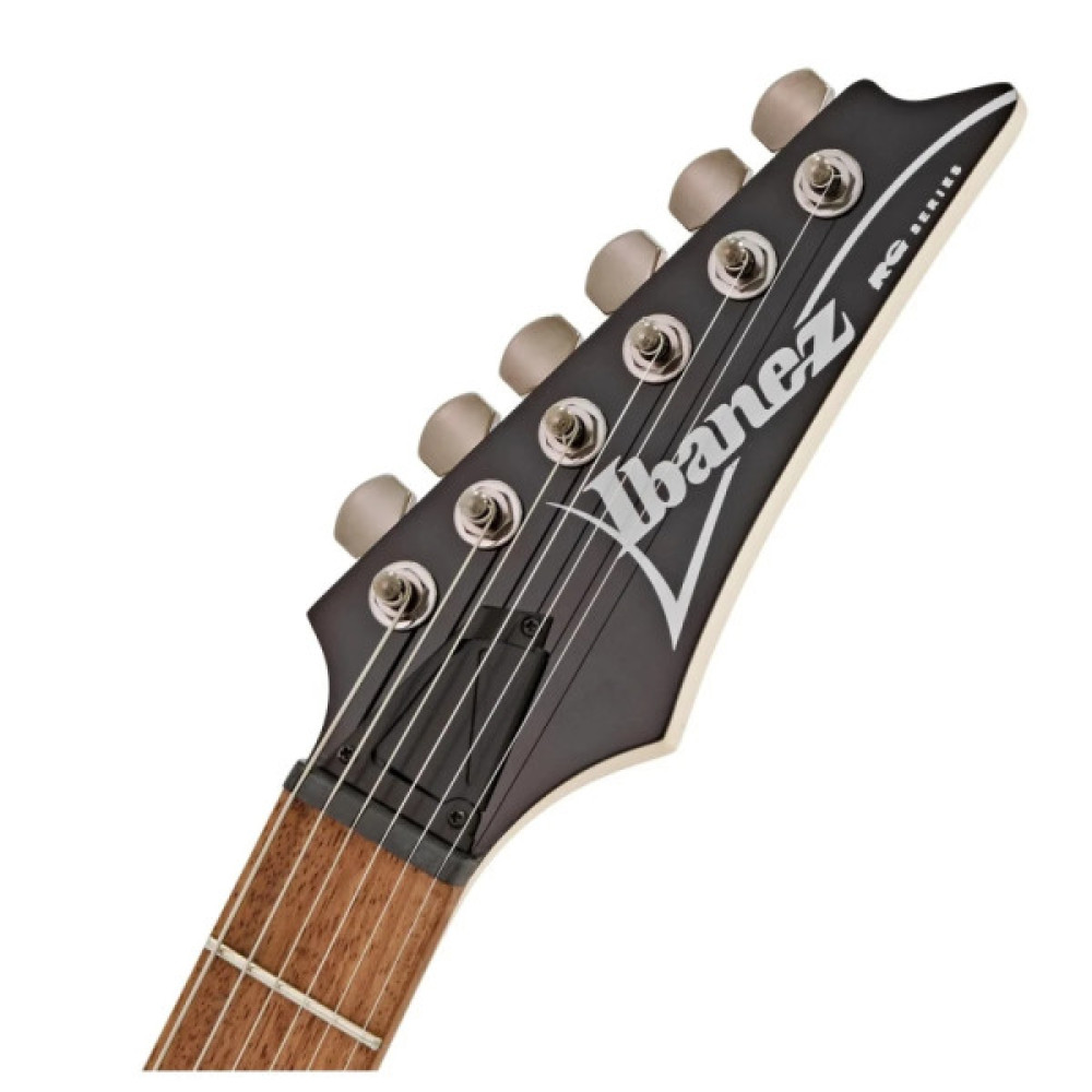 Електрогітара Ibanez RG421 MOL (220672)