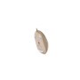 Мишка A4Tech FM26 USB Cafe Latte (4711421991391) Мишка A4Tech FM26 USB Cafe Latte (4711421991391)