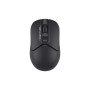 Мишка A4Tech FG12 Black (4711421958912)