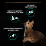Сухий корм для кішок Purina Pro Plan Sterilised Adult 1+ Renal Plus Для дорослих стерилізованих З індичкою 14 кг (7613287887702) Сухий корм для кішок Purina Pro Plan Sterilised Adult 1+ Renal Plus Для дорослих стерилізованих З індичкою 14 кг (7613287887702)