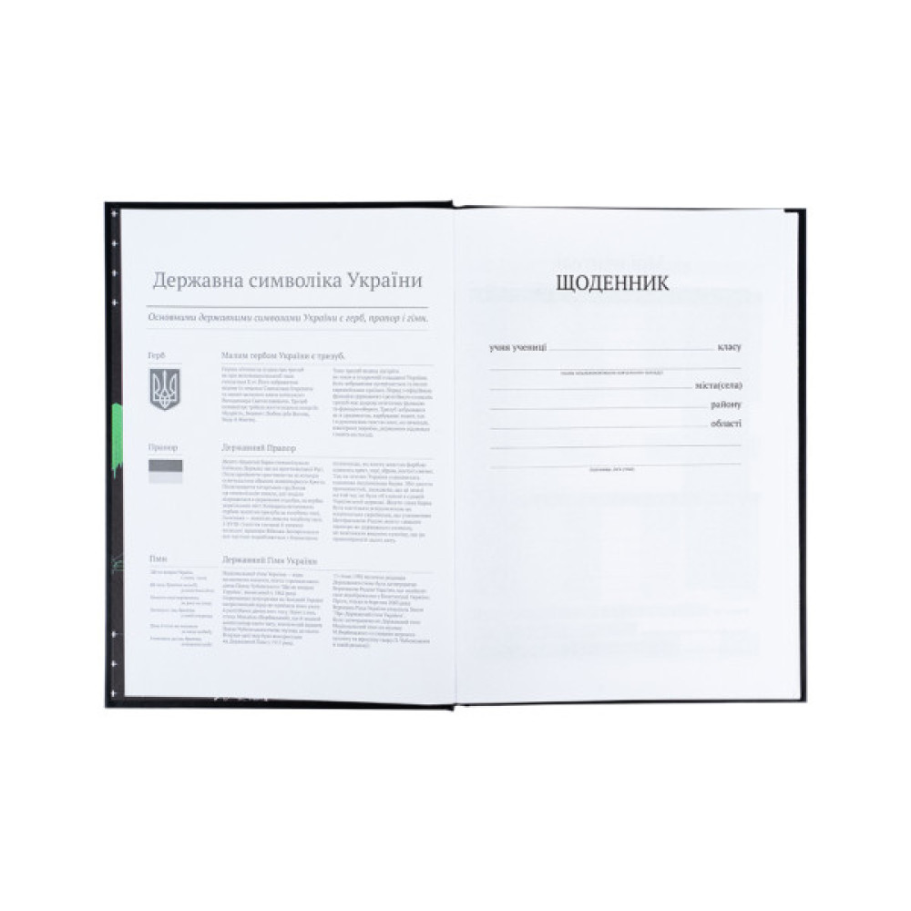 Щоденник шкільний Kite CyberRink, тверда обкладинка (K25-262-9)