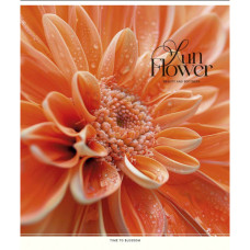 Зошит Школярик Sun Flower 60 аркушів клітинка (060-3456K)