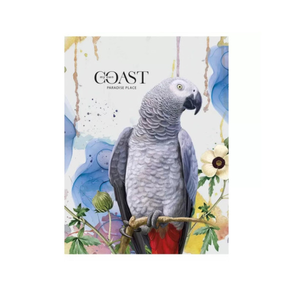 Зошит Школярик А5 Student клітинка 80 аркушів (A5-080-5084K)