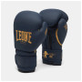 Боксерські рукавички Leone GN059B Blue Edition 16 унцій (GN059B_Blue_16oz)