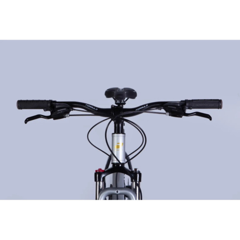 Велосипед Formula 29" F-1 DD CS рама-19" AL 2026 сріблясто-чорний (OPS-FR-29-436)