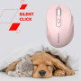 Мишка Canyon OnClick 20 Wireless White (CNE-CMSW20W) Мишка Canyon OnClick 20 Wireless White (CNE-CMSW20W)