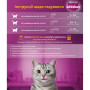 Вологий корм для кішок Whiskas TastyMix Лосось, Морква 85 г (4770608262457) Вологий корм для кішок Whiskas TastyMix Лосось, Морква 85 г (4770608262457)