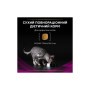 Сухий корм для кішок Purina Pro Plan Veterinary Diets UR Urinary при сечокам'яній хворобі 1.5 кг (7613035160552) Сухий корм для кішок Purina Pro Plan Veterinary Diets UR Urinary при сечокам'яній хворобі 1.5 кг (7613035160552)