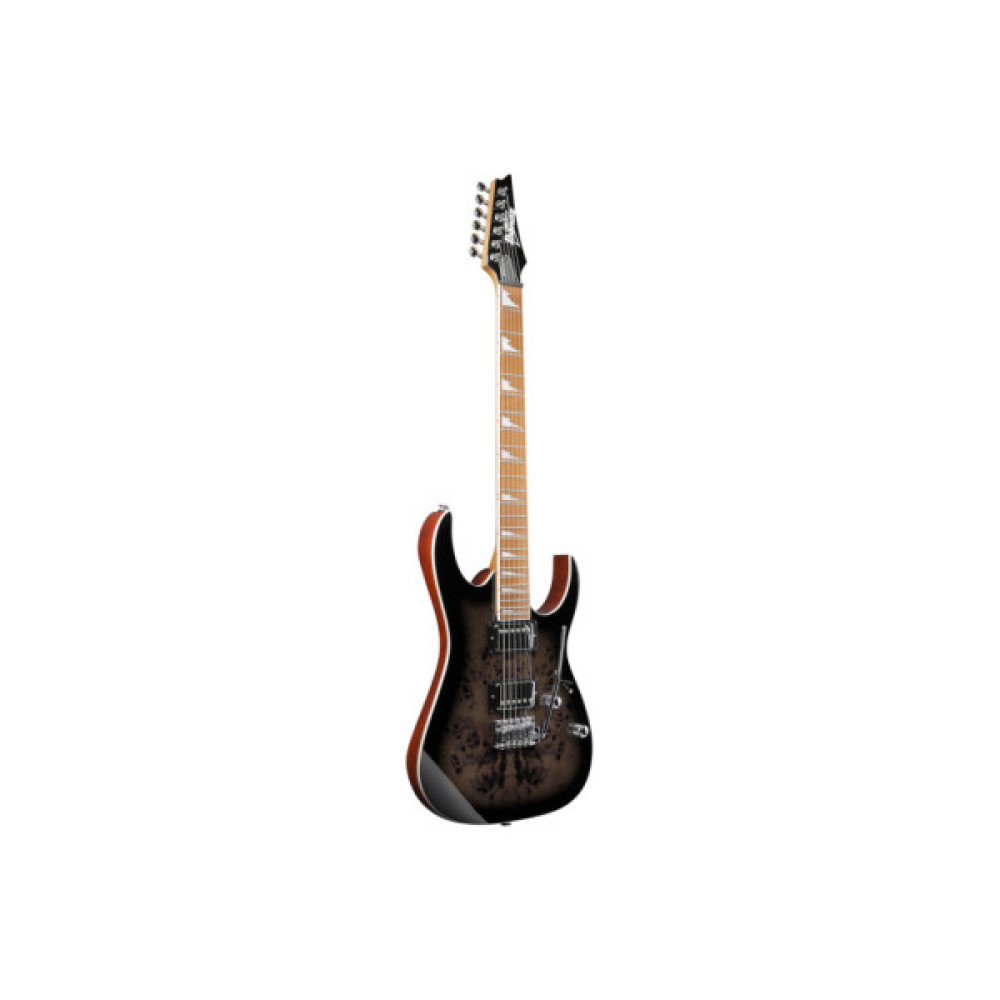 Електрогітара Ibanez GRG220PA1 (234184)