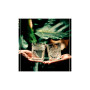 Склянка Onis (Libbey) серія "Icon" DOF низька 355 мл (300383) Склянка Onis (Libbey) серія "Icon" DOF низька 355 мл (300383)