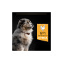 Сухий корм для собак Purina Pro Plan Dog Medium Puppy з високим вмістом курки 12 кг (7613035120402) Сухий корм для собак Purina Pro Plan Dog Medium Puppy з високим вмістом курки 12 кг (7613035120402)