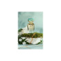 Парфумована вода K-3 39 Blue Moss 100 мл (810023676300) Парфумована вода K-3 39 Blue Moss 100 мл (810023676300)