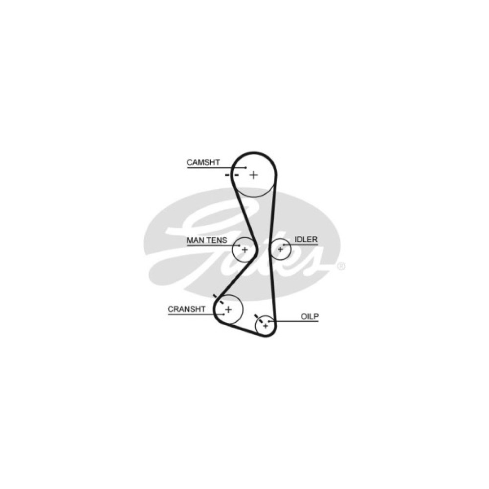 Ремінь ГРМ Gates 5609XS