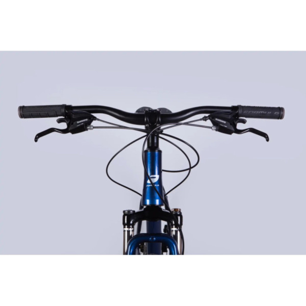 Велосипед Formula 29" MOTION DD FR рама-21" AL 2026 синiй з чорним (OPS-FR-29-424)