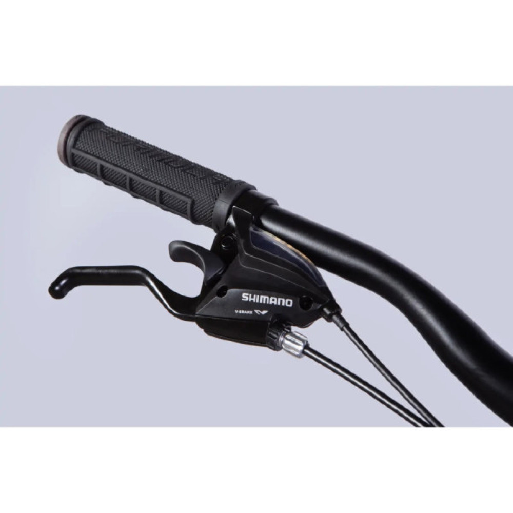 Велосипед Formula 29" MOTION DD FR рама-21" AL 2026 синiй з чорним (OPS-FR-29-424)