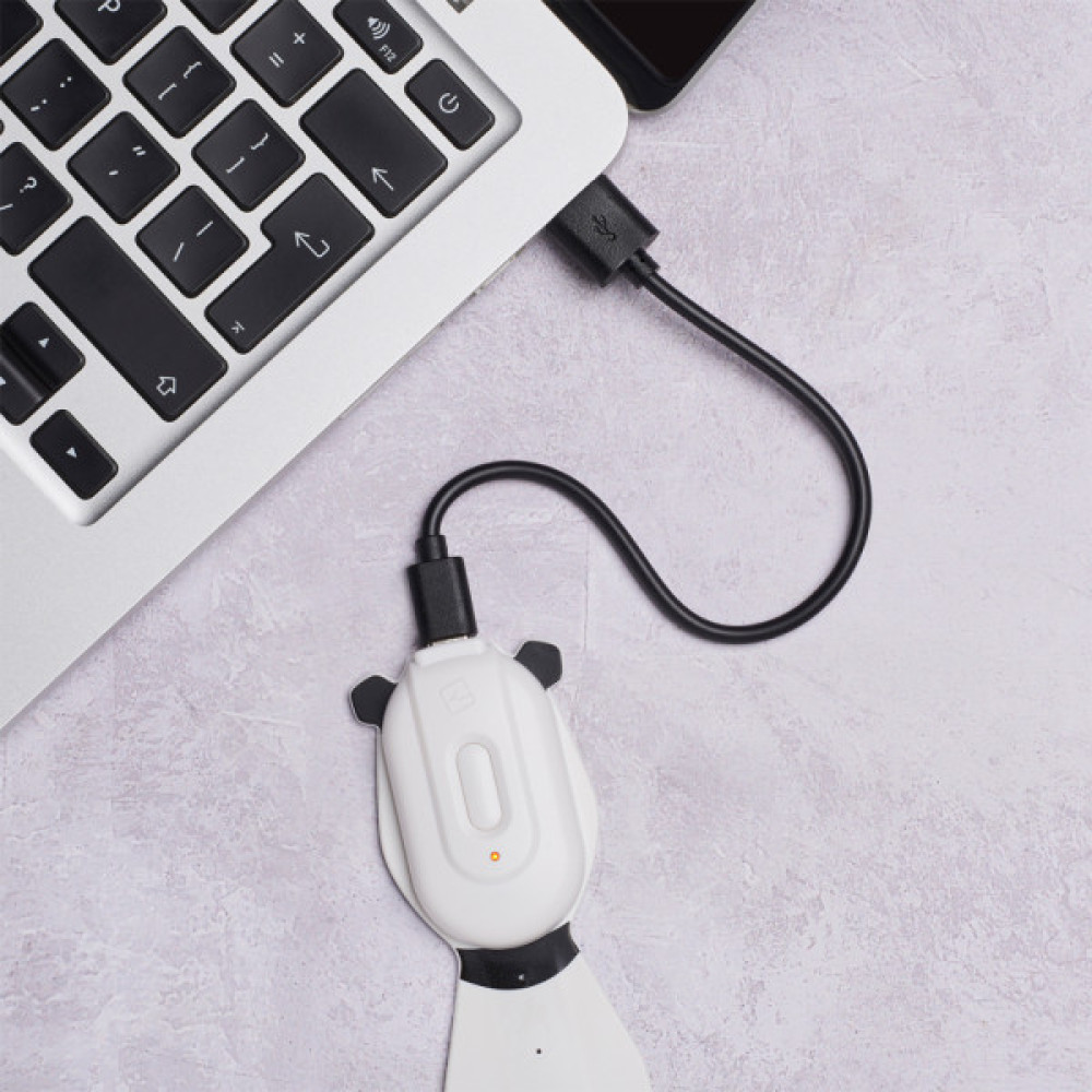 Закладки для книг Flexilight ліхтарик Rechargeable - Панда (FLRPPA)